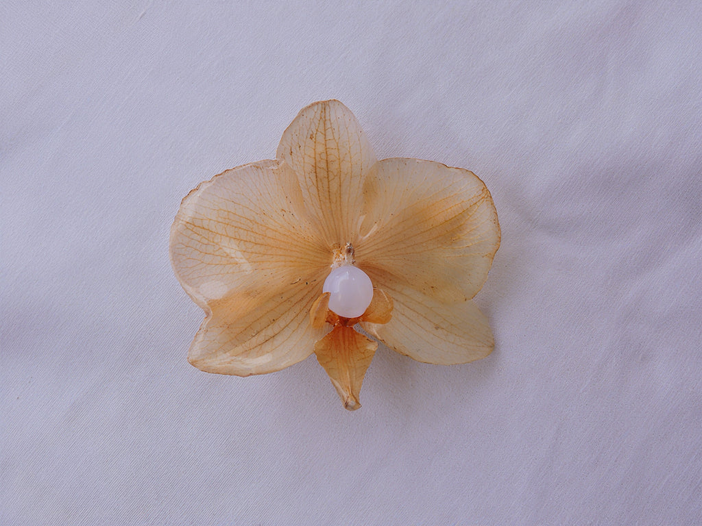 Pinza Pelo Con Orquídea Natural Resinada En Crema Y Perla