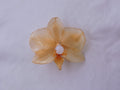 Pinza Pelo Con Orquídea Natural Resinada En Crema Y Perla