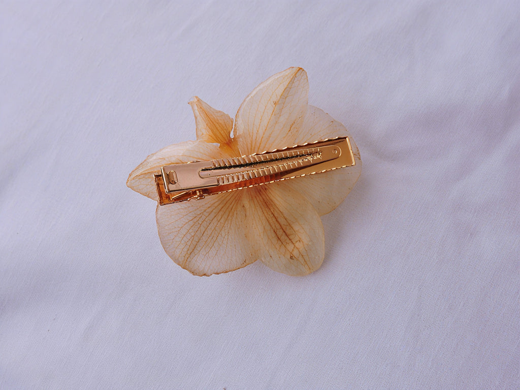 Pinza Pelo Con Orquídea Natural Resinada En Crema Y Perla