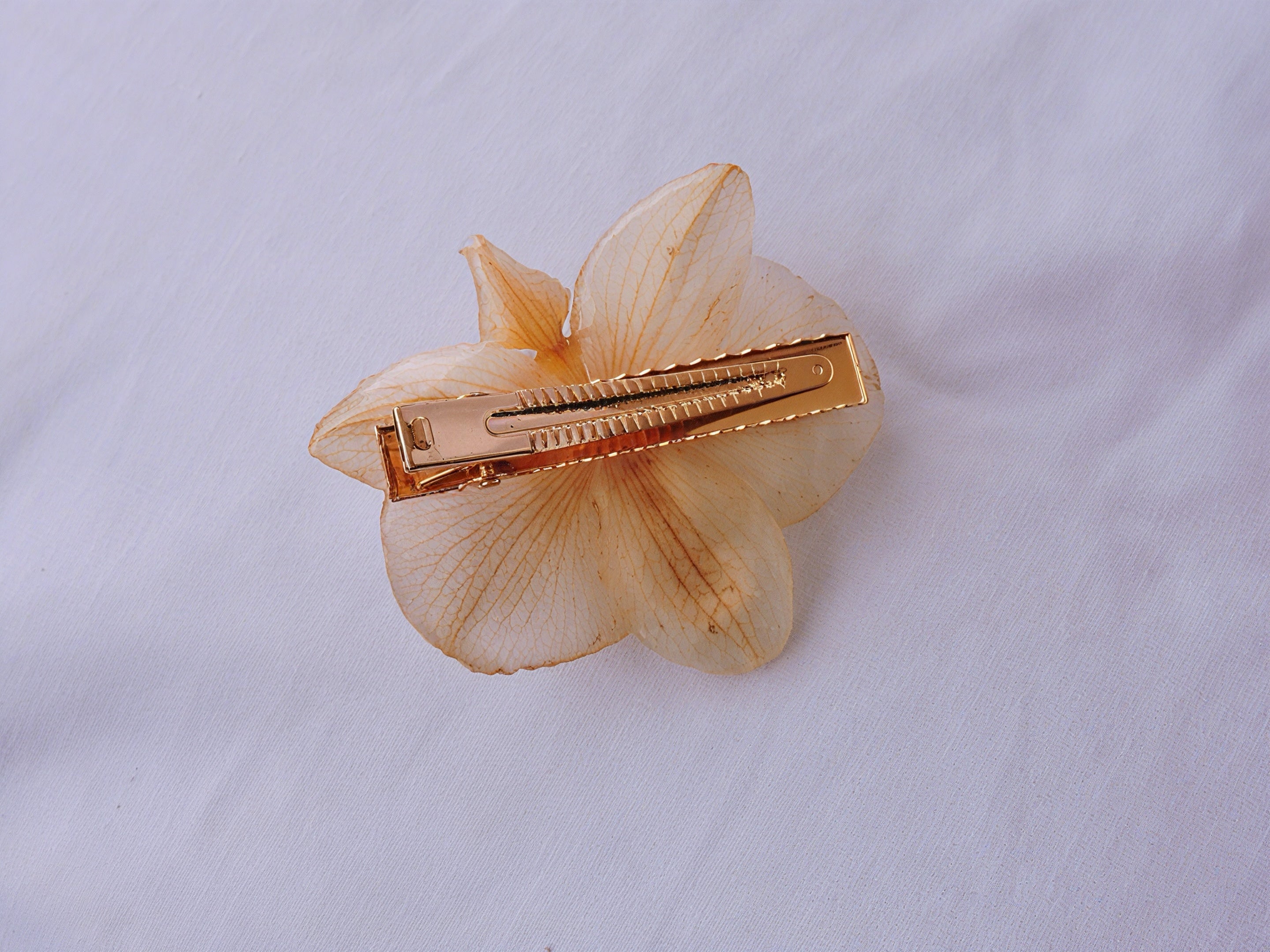 Pinza Pelo Con Orquídea Natural Resinada En Crema Y Perla